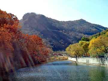 新澳天天开奖资料大全旅游团，媳妇当车模